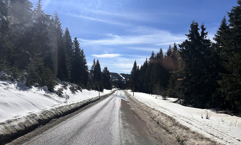 A snow-covered road surrounded by tall pine trees under a blue sky.