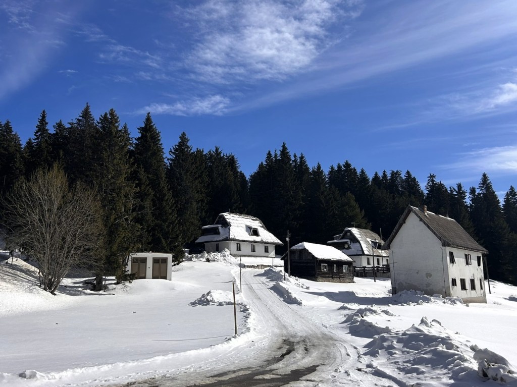 A snow-covered landscape featuring several traditional houses surrounded by tall evergreen trees under a clear blue sky.