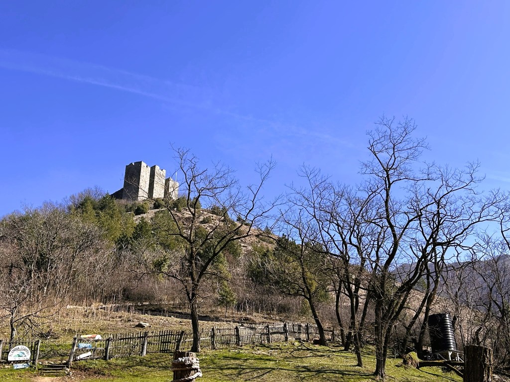 View of a medieval castle atop a hill, surrounded by bare trees and a clear blue sky.