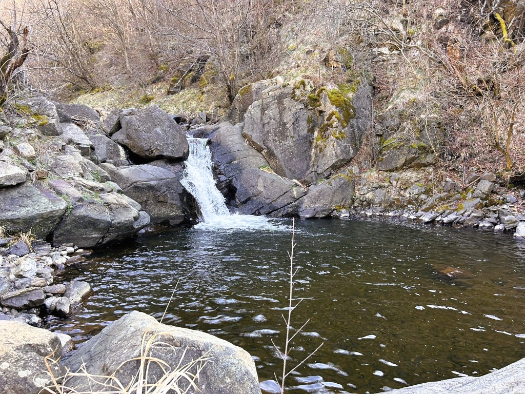 A small waterfall flowing into a calm pool surrounded by rocky terrain and sparse trees, set in a wooded area.