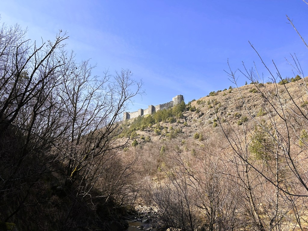 View of a historic castle ruins atop a rocky hill, surrounded by bare trees and a clear blue sky.
