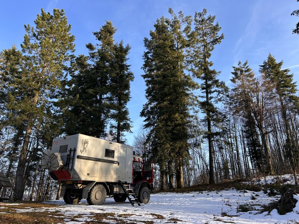 A large overland vehicle parked amid tall evergreen trees, with patches of snow on the ground under a clear blue sky.