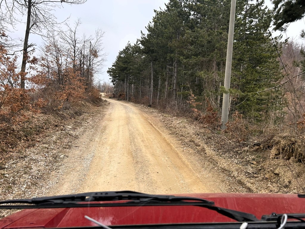 A view of a dusty dirt road winding through a forest, captured from the perspective of a vehicle's dashboard.