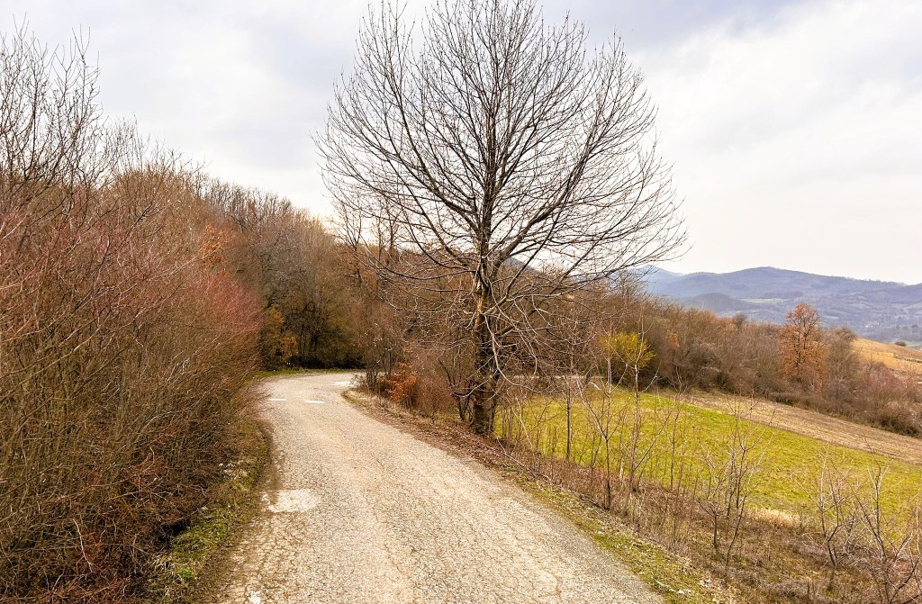 A winding gravel road surrounded by bare trees and bushes, leading towards distant hills under a cloudy sky.