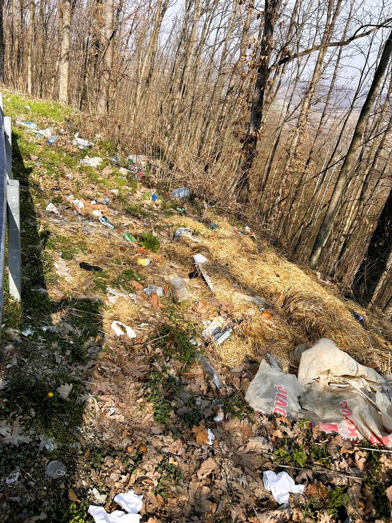 Litter scattered on the ground beside a wooded area, with plastic bottles, bags, and other trash among fallen leaves and grass.