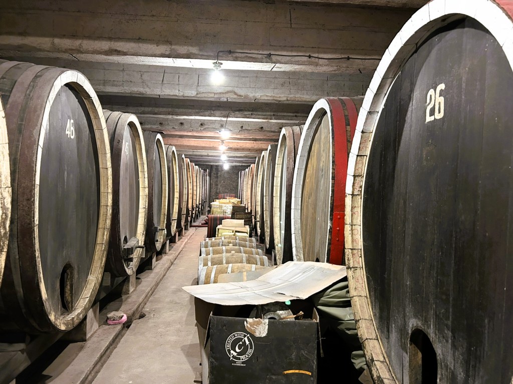A wine cellar featuring large wooden barrels stacked along the walls, with some showing numbers, and a dimly lit interior.