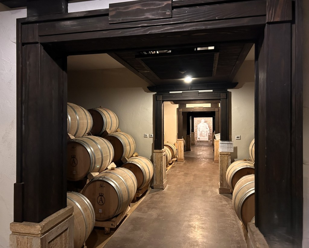 A dimly lit corridor lined with wooden wine barrels, featuring dark wooden beams and a rustic aesthetic.