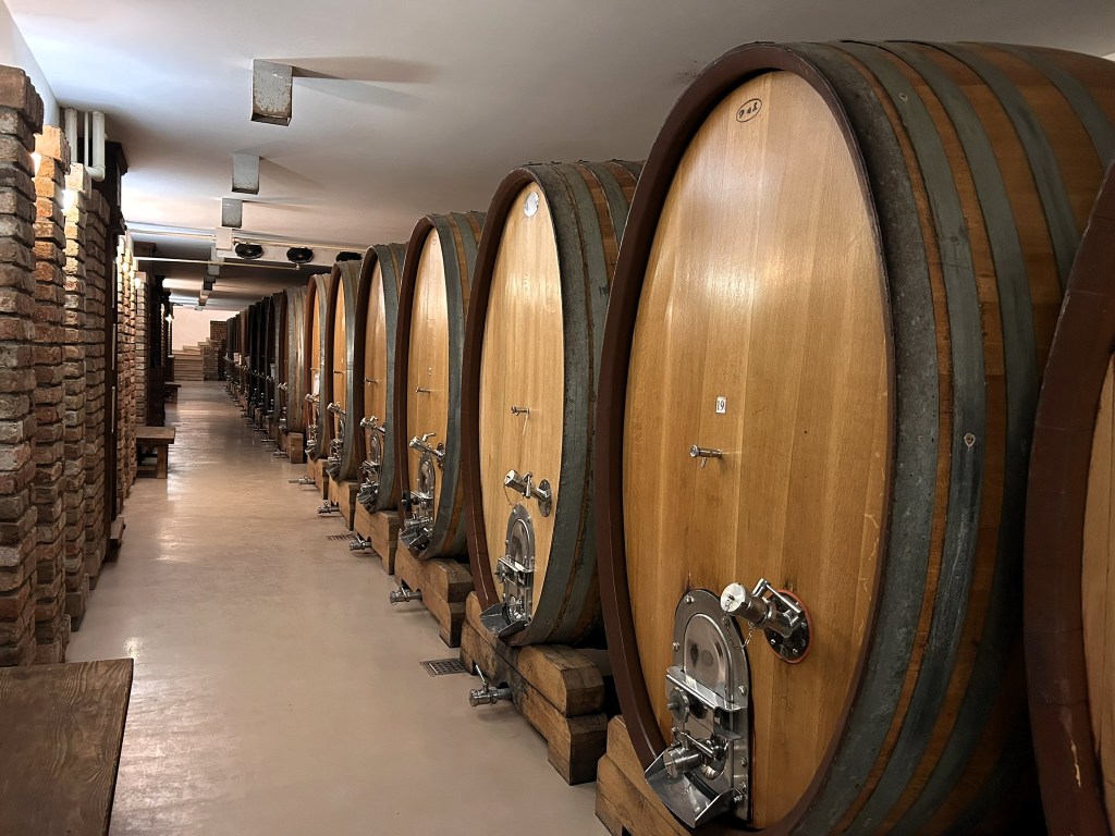 A cellar with large wooden barrels lined up along the walls, with brick pillars and a tiled floor, illuminated by overhead lights.
