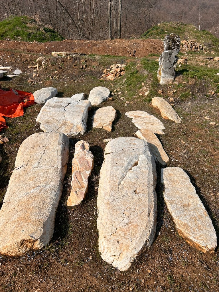 An archaeological site featuring large, weathered stones arranged on the ground, with some partially covered by orange tarps, surrounded by sparse vegetation and trees in the background.