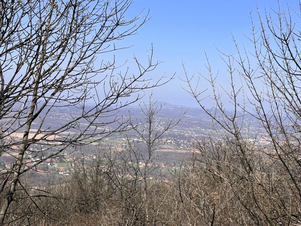A view from a hillside showing bare trees in the foreground and a valley with scattered houses and farms in the background under a clear blue sky.