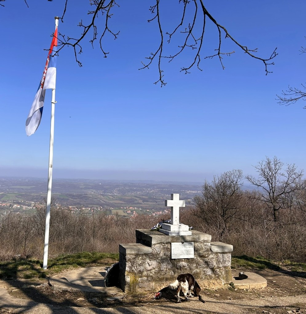 A scenic view from a hilltop featuring a white cross monument and a flagpole with two flags. A dog is resting by the monument, with a landscape of fields and hills visible in the background under a clear blue sky.
