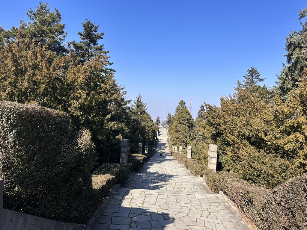 A scenic pathway lined with hedges and trees, leading towards a clear blue sky.