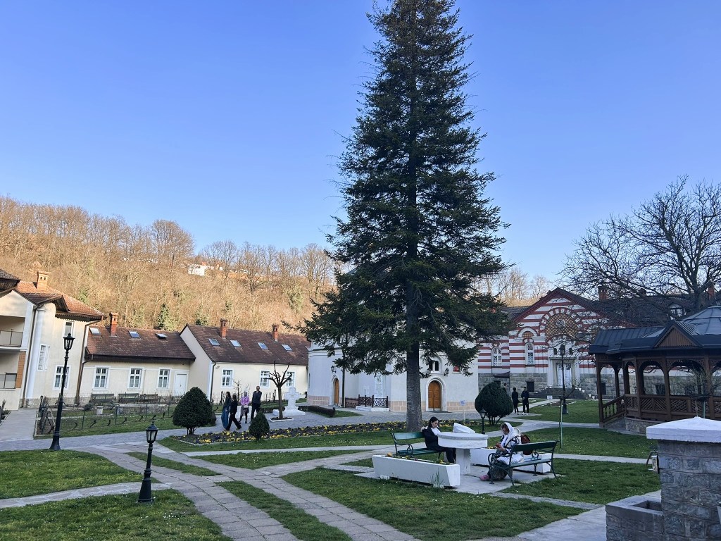 A serene park scene featuring a tall tree, benches, and pathways, with people walking and sitting in a green space surrounded by buildings and a clear blue sky.
