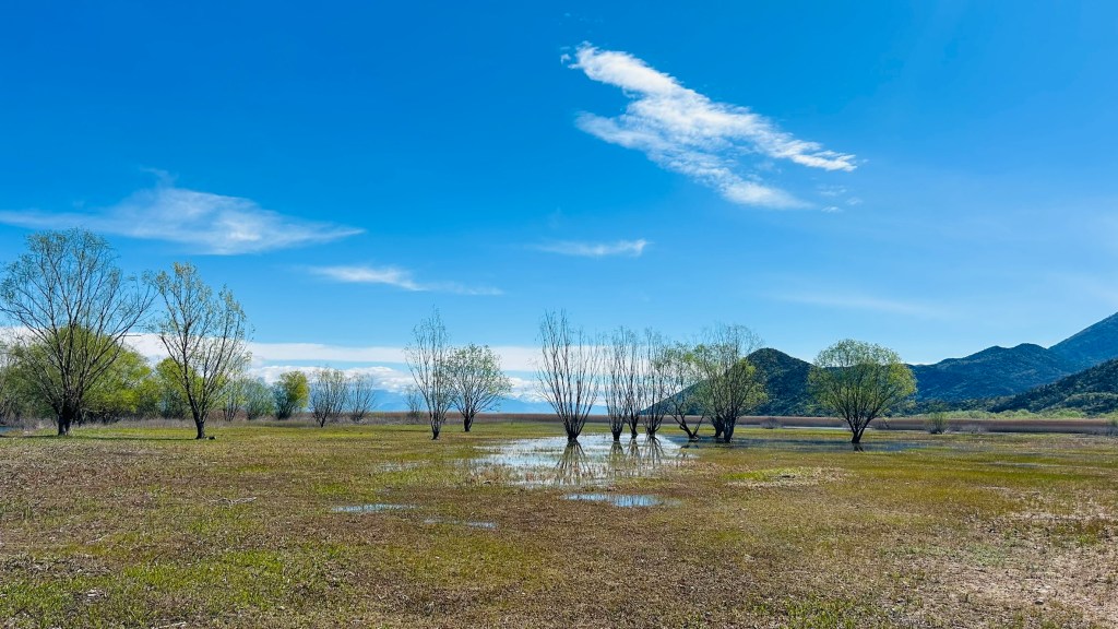 A tranquil landscape featuring a blue sky with wispy clouds, a grassy area with scattered trees, and a distant mountain range.