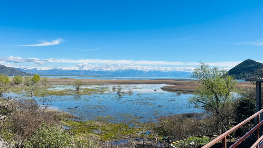 A scenic view of a body of water surrounded by distant mountains and a clear blue sky, with patches of vegetation and water reflecting the sunlight.