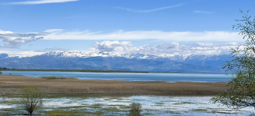 A scenic view of a tranquil lake with grassland in the foreground and snow-capped mountains in the background under a clear blue sky.