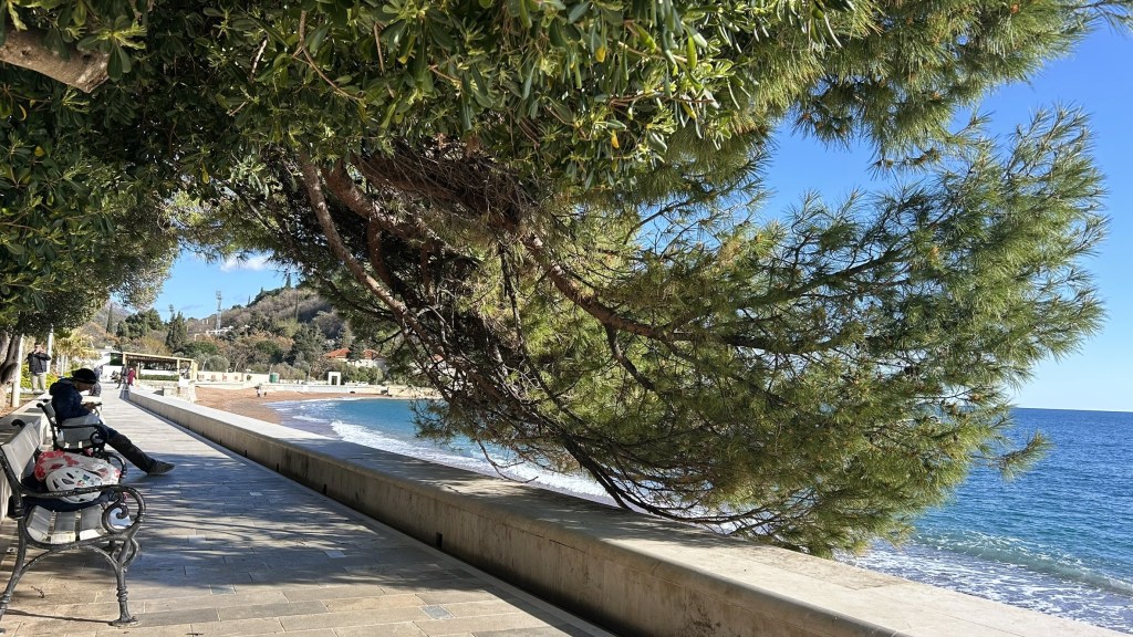 A scenic seaside promenade with a stone path, shaded by lush trees. A person sits on a bench, enjoying the view of the calm sea and distant hills under a clear blue sky.