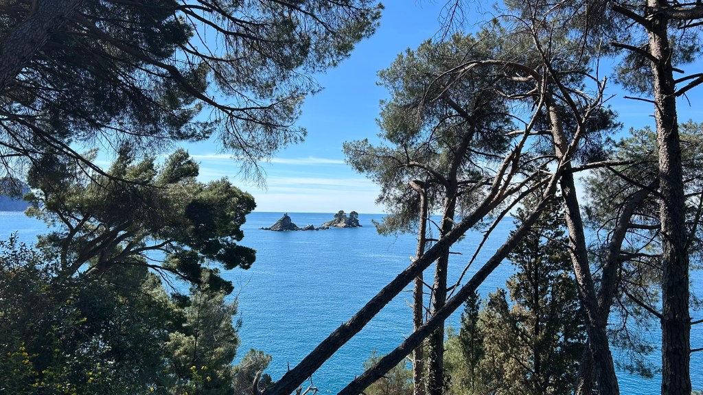 A serene coastal view featuring calm blue waters, distant rocky islands, and tall trees framing the scene under a clear sky.
