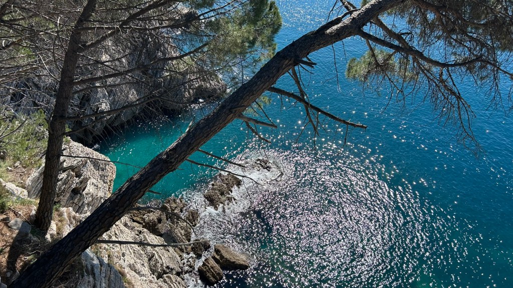 A close-up view of a rocky coastal area, with clear turquoise water reflecting sunlight, framed by a tree branch extending over the shore.