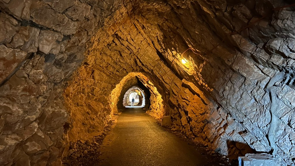 A dimly lit tunnel with rocky walls, featuring a smooth pathway and faintly glowing lights along the sides.