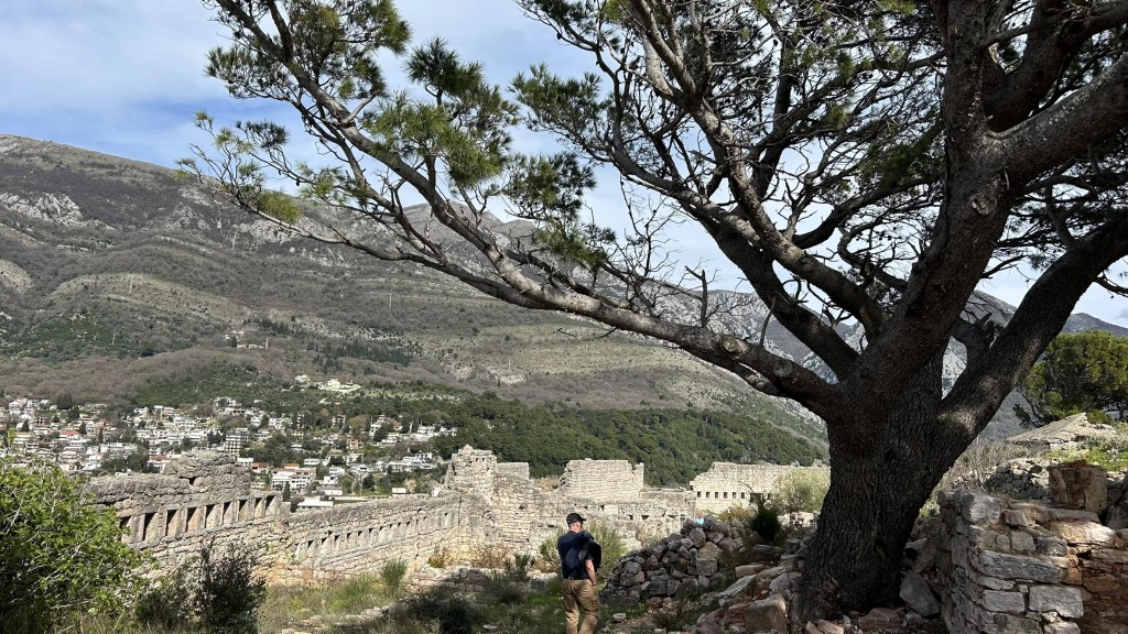 A person walking among ancient ruins, with a large tree in the foreground and mountains in the background.