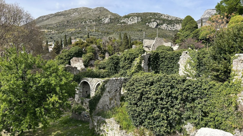 View of overgrown ruins surrounded by lush greenery, with mountains in the background.