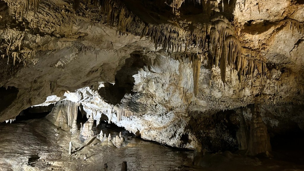 An illuminated cave interior featuring stalactites and stalagmites, showcasing the intricate rock formations on the walls and ceiling.