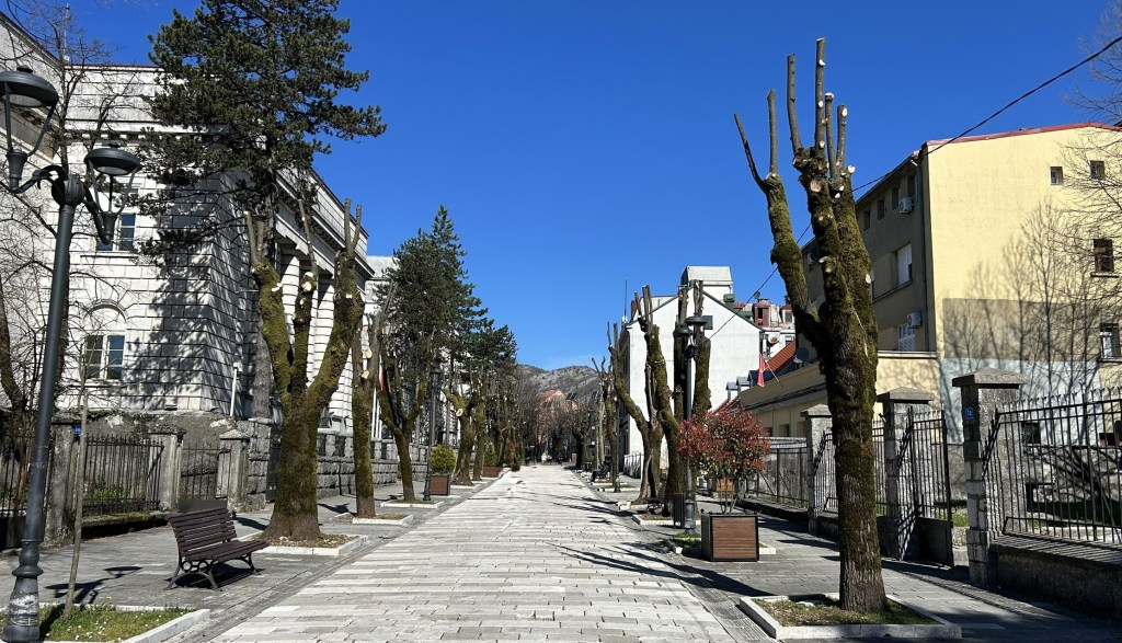 A wide pedestrian pathway lined with trimmed trees and street lamps, flanked by buildings on either side under a clear blue sky.