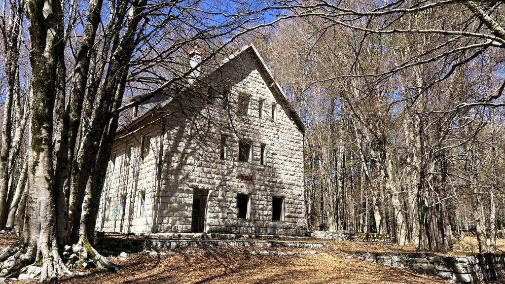 An abandoned stone house surrounded by leafless trees and a forest floor covered in fallen leaves.