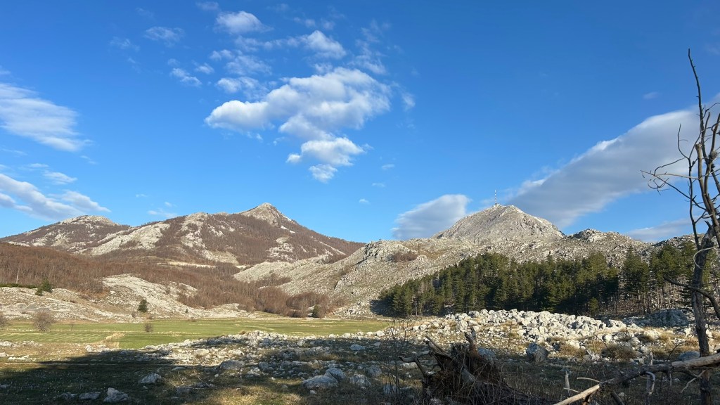 A panoramic view of rugged mountains under a blue sky with scattered clouds, showcasing rocky terrain and a sparse forest in the foreground.