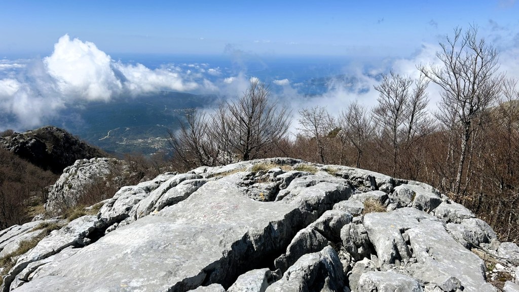 A rocky mountain summit overlooking a valley with scattered trees and clouds in the sky.