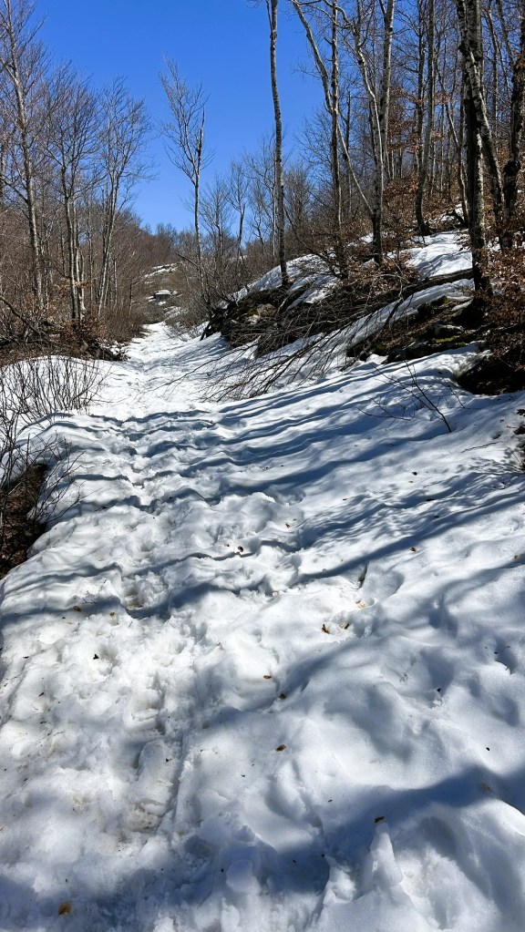 A snowy pathway through a forest with bare trees and a clear blue sky.
