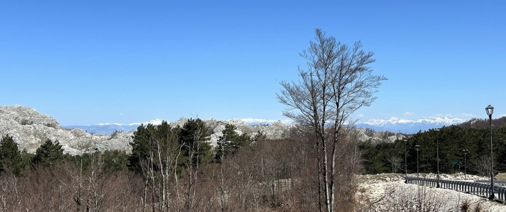 A panoramic view of mountains under a clear blue sky, with rocky formations and sparse trees in the foreground.