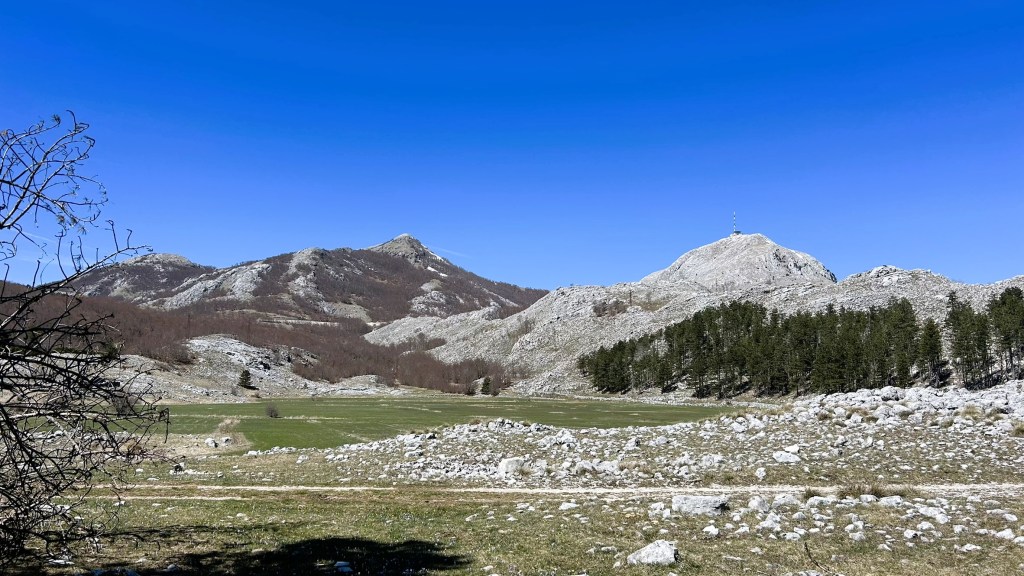A panoramic view of rugged mountains under a clear blue sky, featuring a rocky landscape and patches of green grass, with scattered trees and boulders in the foreground.